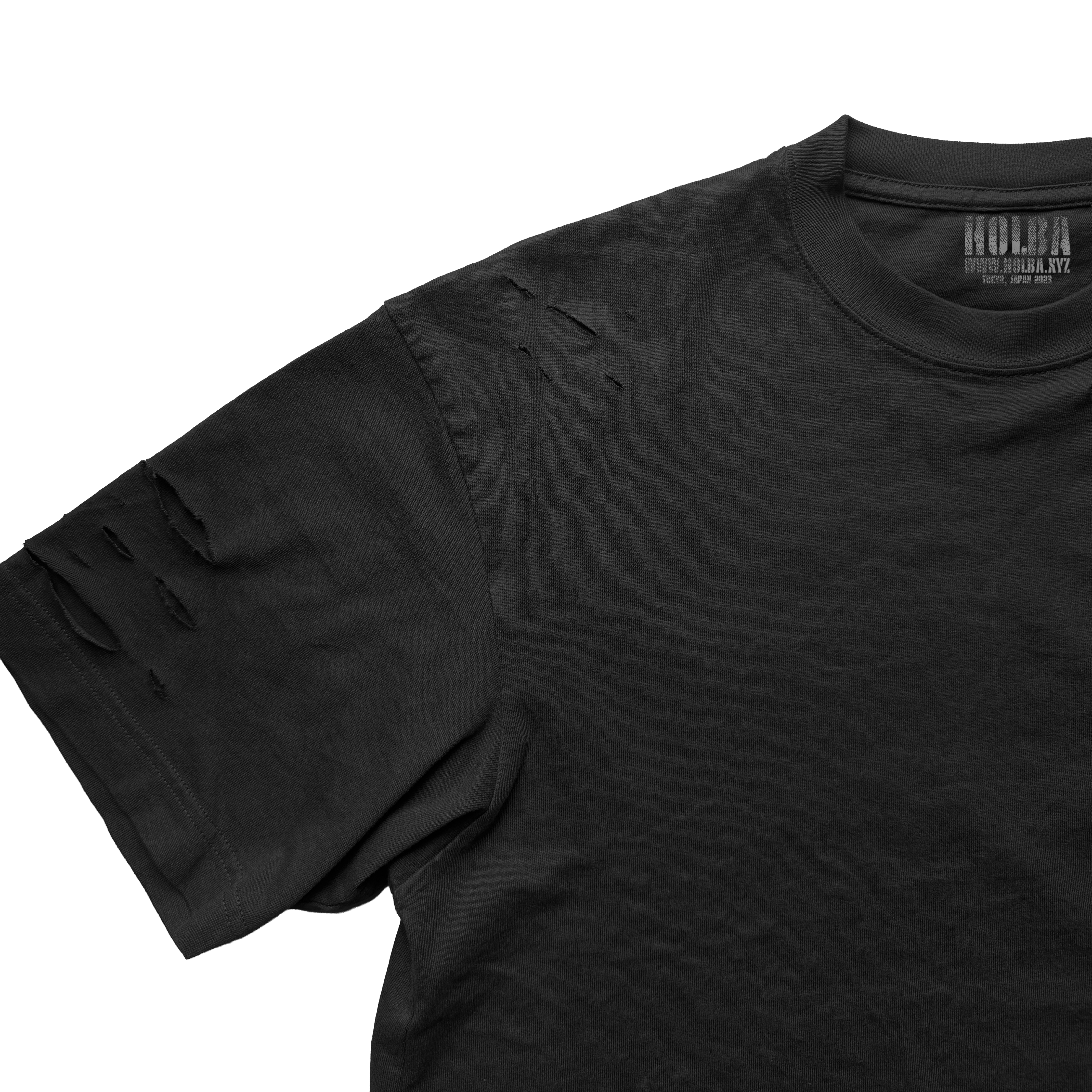 HOLBA 010