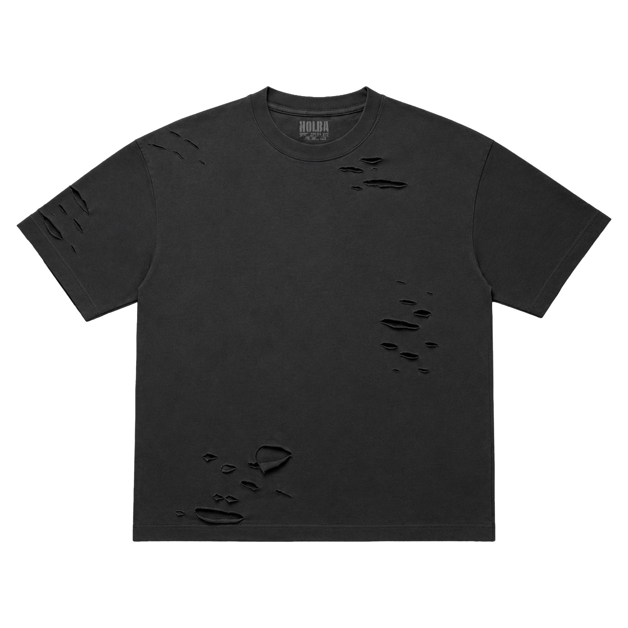 HOLBA 010