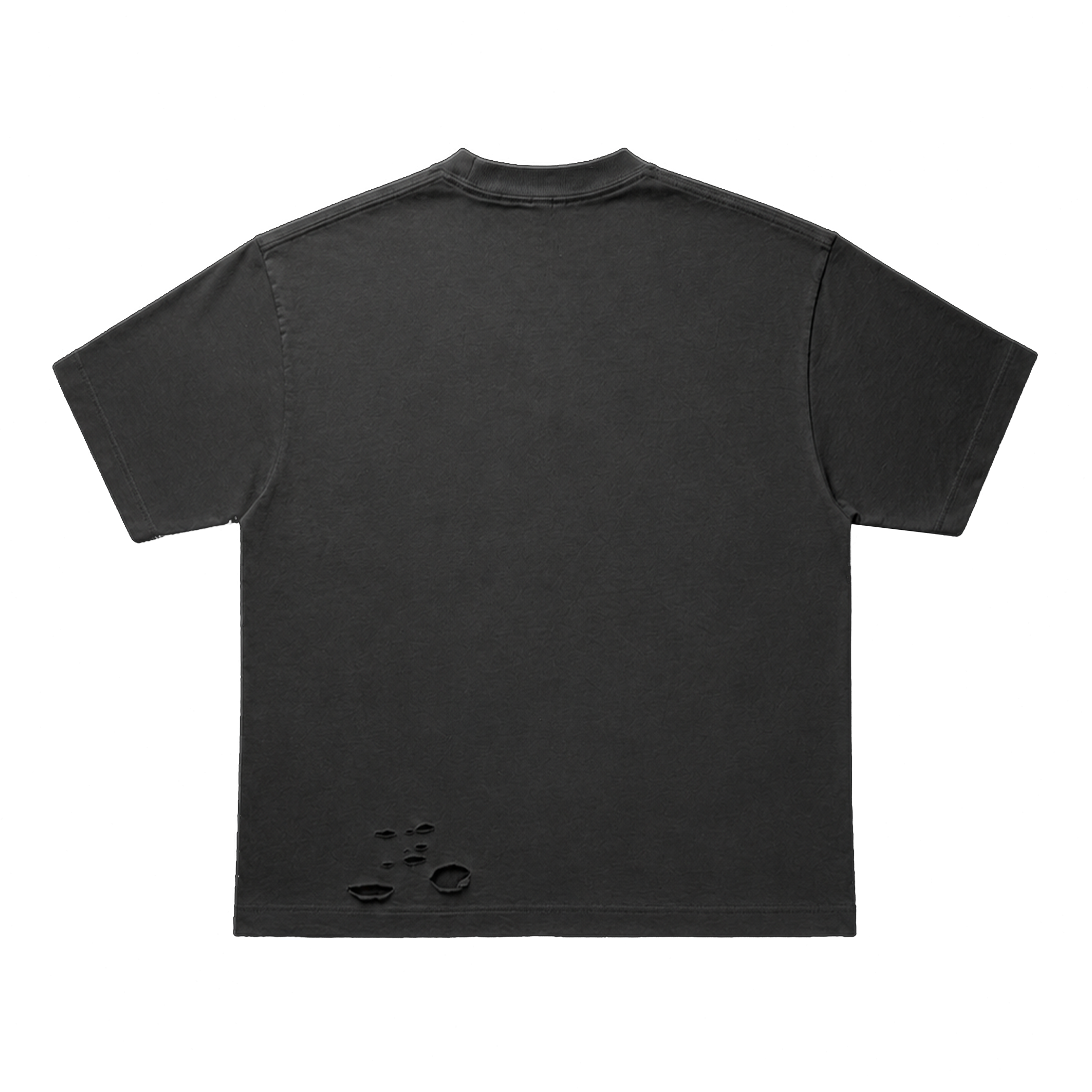 HOLBA 010